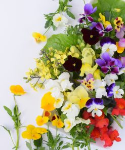 EDIBLE FLOWERS