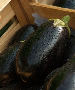 AUBERGINES & COURGETTES