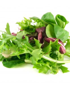 SALAD VEGETABLES