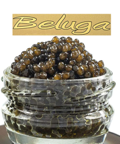 BELUGA