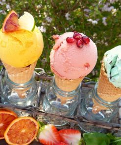 ICE CREAM SUGAR FREE